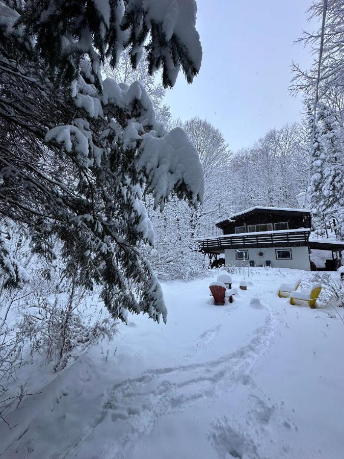 Chalet Dans Les Arbres. 3 Ch. /Trees House 3Bdr Lac Sainte-Marie Exterior foto